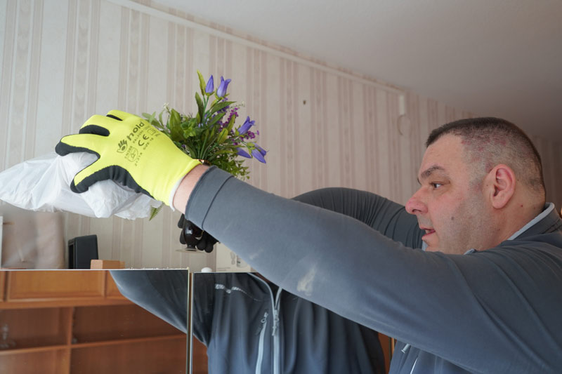 Tontshew Mitarbeiter bei Entrümpelung Herrenberg nimmt er Pflanze vom Schrank